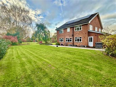 Click to view more details